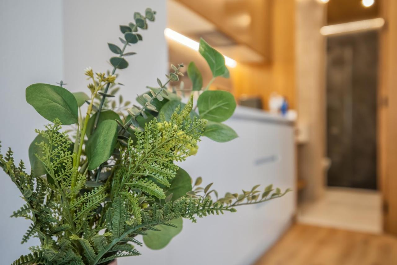 Olivia Suites Apartments Cordoba Dış mekan fotoğraf